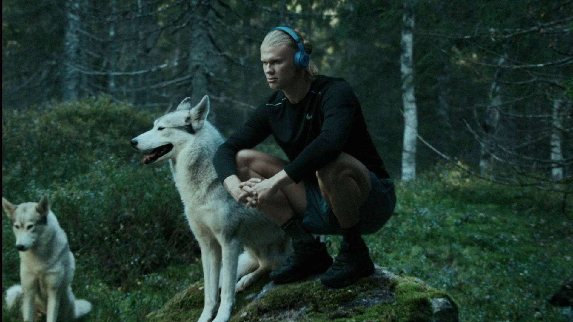 助商的合作 助商的合作