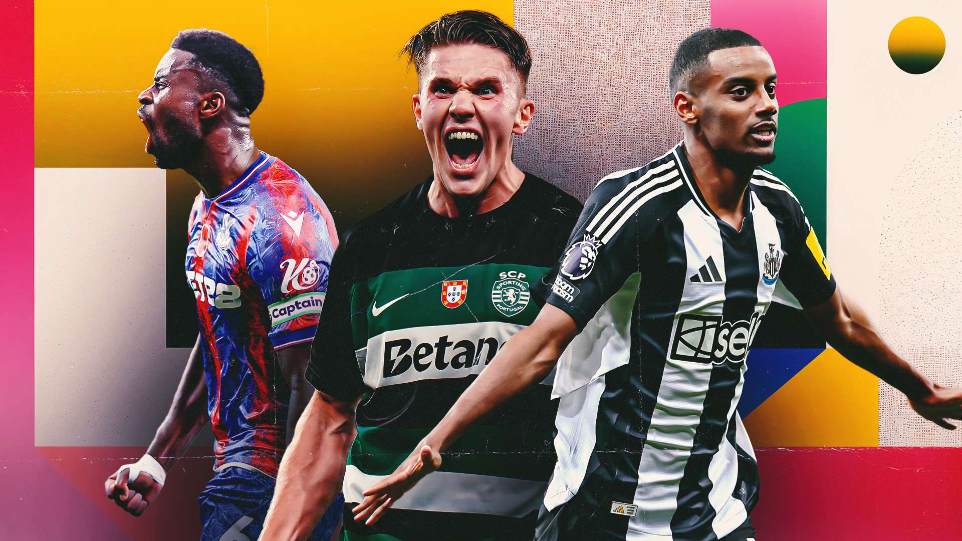 橙色不仅成 橙色不仅成